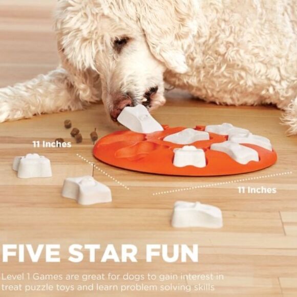 Outward hound Dog Smart Hide, Seek & Treat! skill level 1 puzzle - Picture 1 of 13